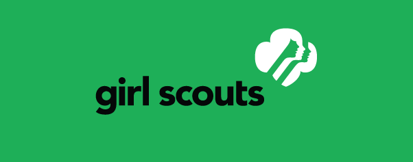 lynne lawson fugate named ceo of girl scout council of the girl scout southern appalachians