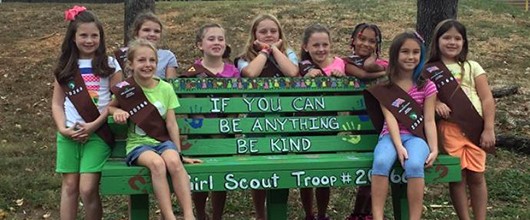 Donate Donate to the Girl Scout Council of the Southern Appalachians