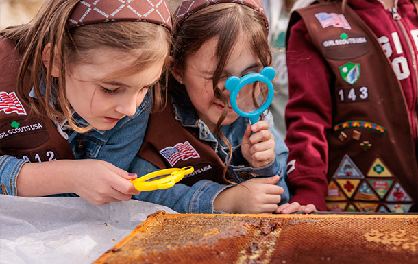Get Going, Girl Scouts!